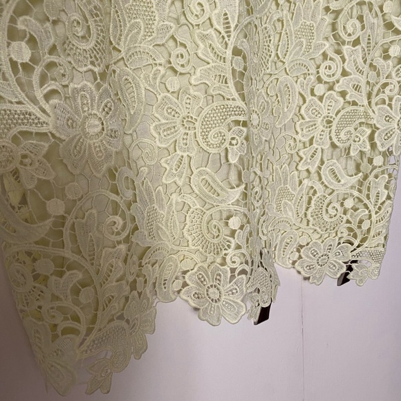 J.Crew Lace Tank - Picture 4 of 10